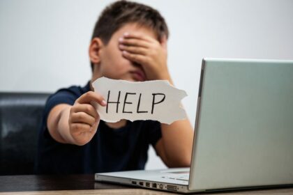 Comissão de Segurança Pública debate combate a crimes cibernéticos contra crianças e adolescentes