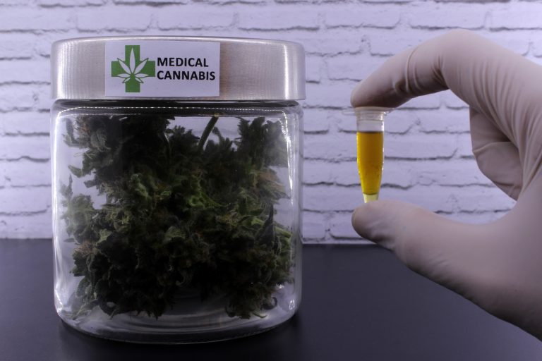 Comissão debate apoio a associações civis dedicadas à cannabis medicinal