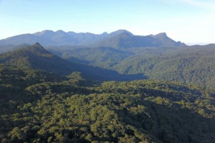 Seminário debate cenário ambiental nos estados brasileiros
