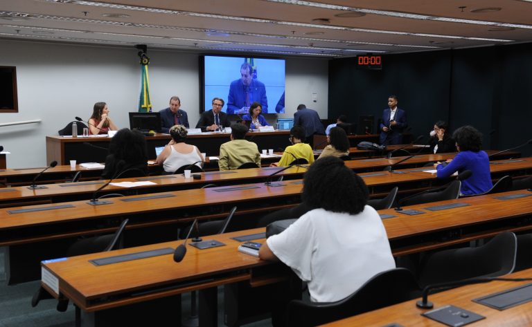 Deputado acredita que COP 30 pode ser oportunidade para combater racismo ambiental