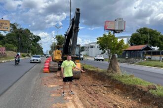 Rodrigo Guedes manifesta preocupação com retirada de árvores na Avenida do Turismo, em Manaus