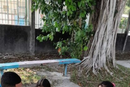 Mania de Ler: Biblioteca Volante leva cultura e incentivo à leitura a crianças e adolescentes