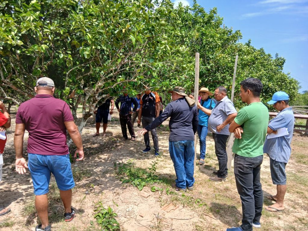 Em Manacapuru, Idam coordena duas programações de capacitação sobre boas práticas na agricultura e combate de pragas