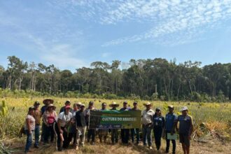 Idam promove a cultura do abacaxi em Humaitá com curso de boas práticas e projetos de capacitação
