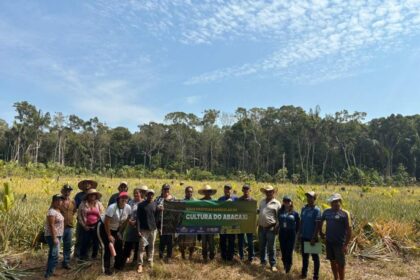 Idam promove a cultura do abacaxi em Humaitá com curso de boas práticas e projetos de capacitação