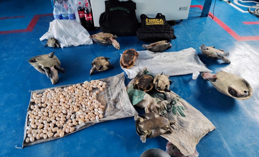 Ipaam aplica R$ 1,39 milhão em multas por crimes ambientais durante Operação Força Tarefa Amazônia