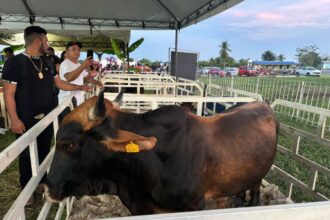 Sepror realiza apoio técnico e repasse de recursos na 3ª Festival AgroVárzea e 1ª Feira Agro de Careiro da Várzea
