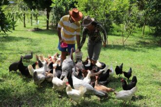 Sepror profissionaliza mais de três mil produtores rurais em cinco municípios do Amazonas