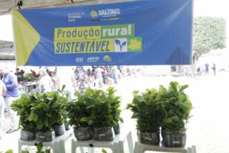 Sepror fomenta cultura do café em Presidente Figueiredo com entrega de 750 mudas para produtores