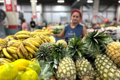 Expoagro 2025: ADS promove edição especial da Feira de Produtos Regionais