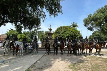 Cavalaria da PMAM completa seis meses de atuação no Centro de Manaus