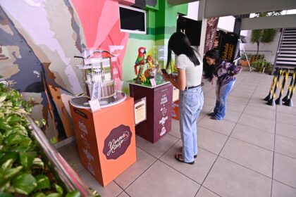 Exposição de bolos artísticos encanta visitantes no mirante Lúcia Almeida