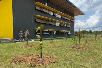 Nova sede do Implurb recebe plantio de mais de 260 árvores nativas e brasileiras pela Prefeitura de Manaus