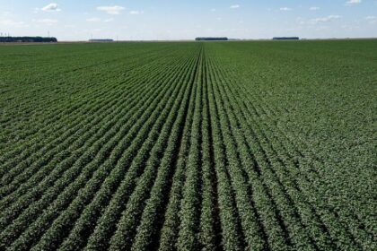 Comissão debate impacto dos créditos de descarbonização no agronegócio