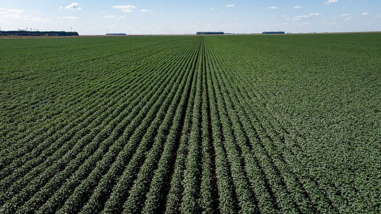 Comissão debate impacto dos créditos de descarbonização no agronegócio