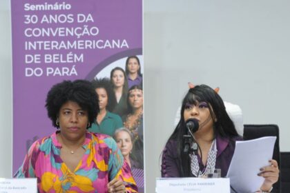Especialistas destacam avanços e desafios no combate à violência contra a mulher