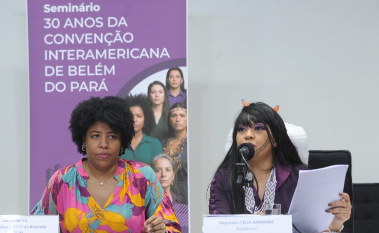 Especialistas destacam avanços e desafios no combate à violência contra a mulher