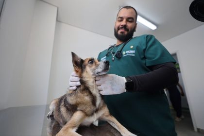 Hospital Público Veterinário do Amazonas inicia atendimentos a população