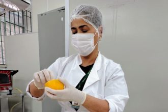 Segurança alimentar é tema de oficina apoiada pelo Governo do Estado