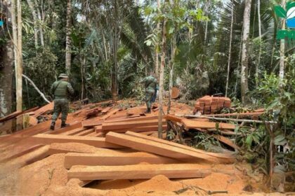 Ipaam aplica mais de R$ 5 milhões em multas na 5ª etapa da Operação Tamoiotatá 5