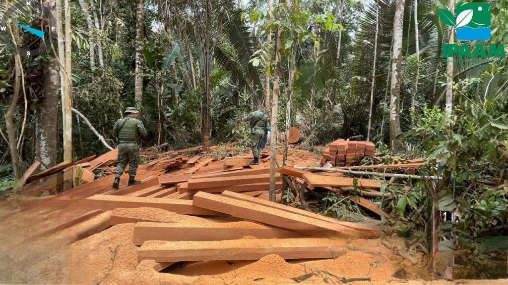 Ipaam aplica mais de R$ 5 milhões em multas na 5ª etapa da Operação Tamoiotatá 5