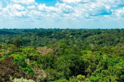 Amazonas registra menor número de focos de calor para setembro desde 2002, aponta Inpe