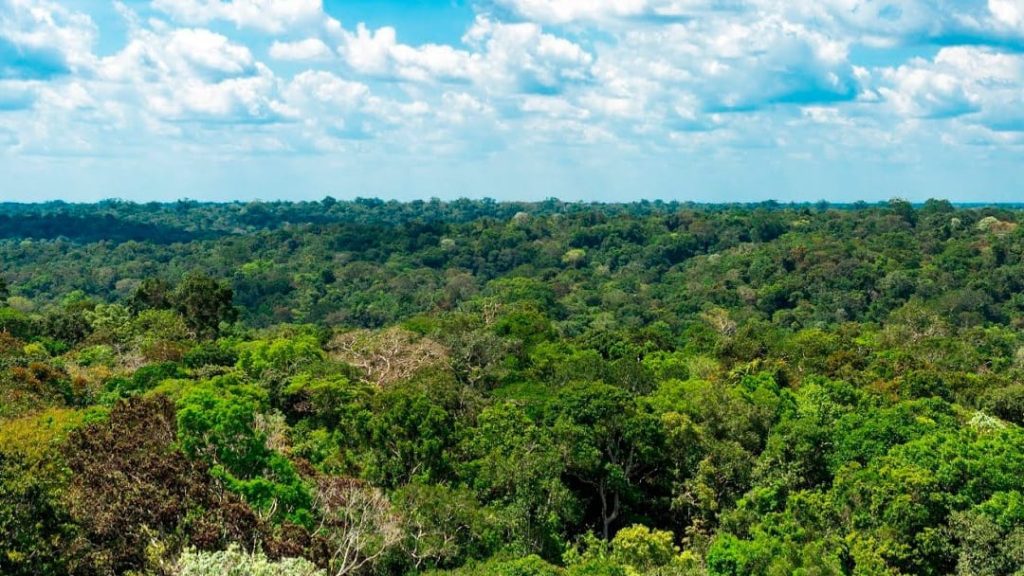 Amazonas registra menor número de focos de calor para setembro desde 2002, aponta Inpe