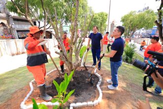 Prefeito David Almeida e vice Renato Junior realizam plantio