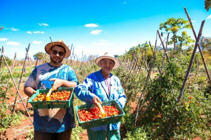 Pronaf e Plano Safra para agricultura familiar são transformados em lei