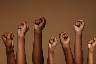 Audiência pública discute financiamento privado para o Fundo da Igualdade Racial