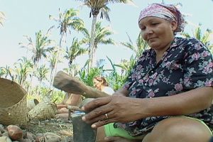 Comissão aprova projetos que reconhecem tradições locais como manifestações culturais