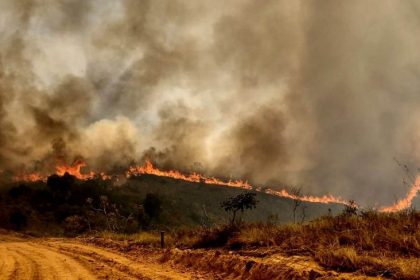 Comissão debate implementação de política nacional de manejo do fogo