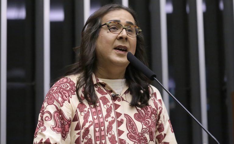 Comissão de Constituição e Justiça aprova permissão para propaganda eleitoral em duas línguas