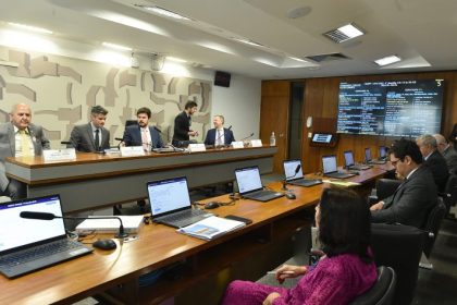 Sistema precisa de ajustes para garantir energia barata, diz relator de medida provisória