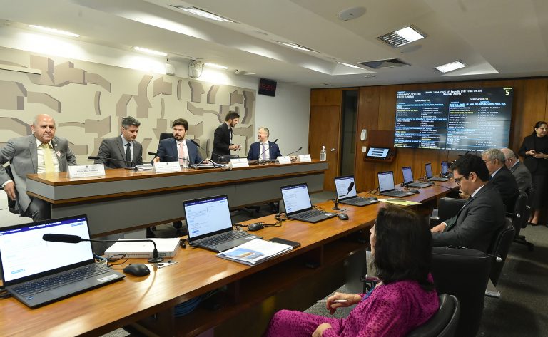 Sistema precisa de ajustes para garantir energia barata, diz relator de medida provisória