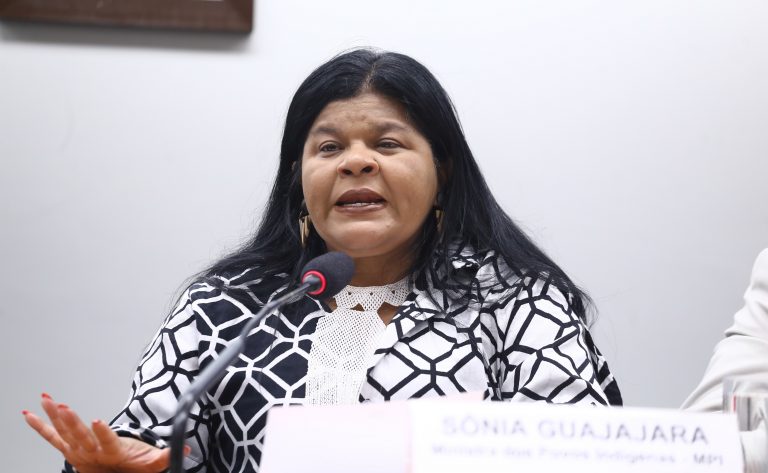 Participação indígena deverá ser destaque na COP30, diz ministra