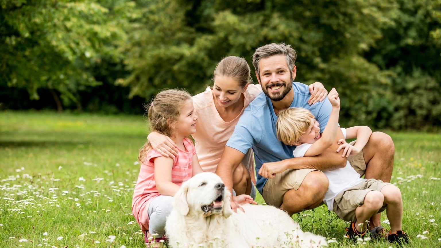 O Sol que Entra: Renovação Espiritual no Lar