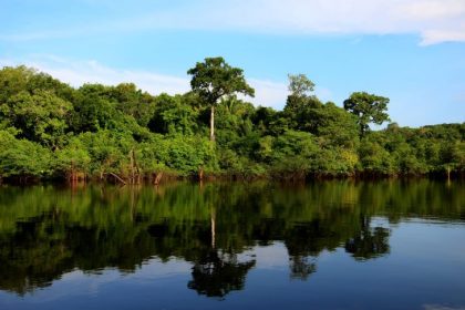 Comissões debatem criação de política nacional para desenvolver a bioeconomia no Brasil
