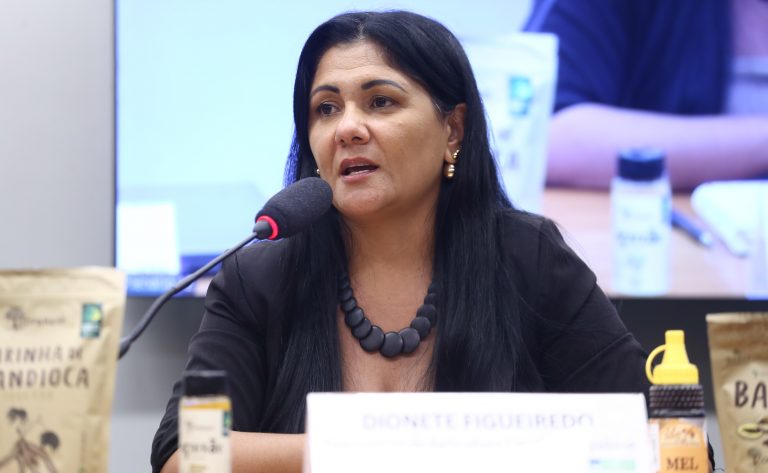 Comissão colhe sugestões para a criação da Política Nacional de Bioeconomia