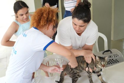 Campanha da Prefeitura de Manaus oferta vacinação de cães e gatos contra raiva em 52 pontos fixos
