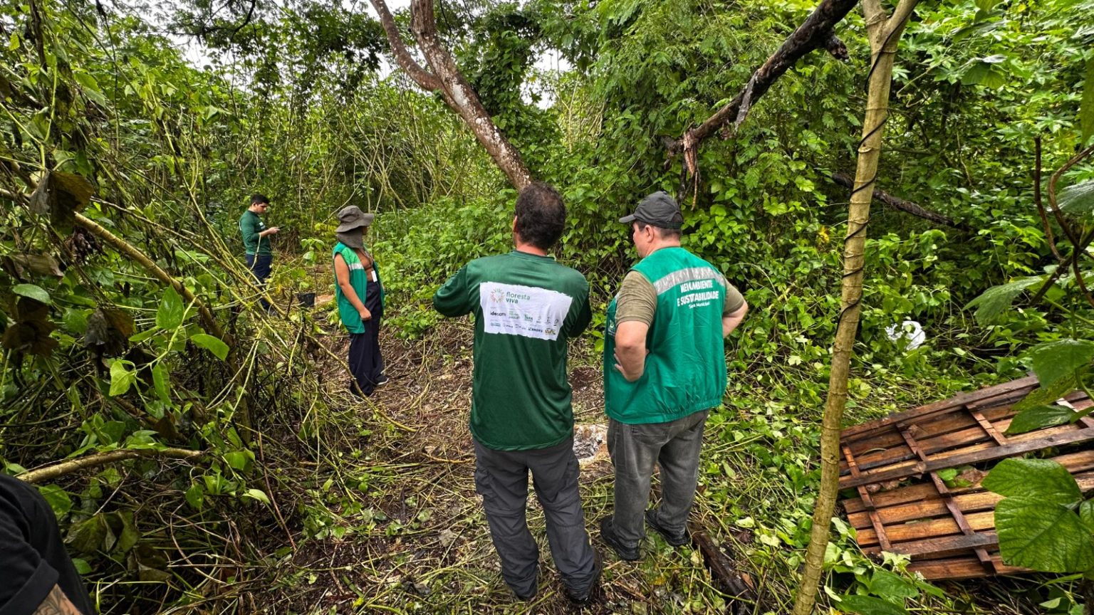 Prefeitura e Idesam lançam projeto para restaurar 70 hectares em Unidades de Conservação de Manaus