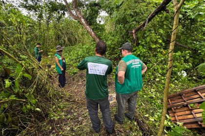 Prefeitura e Idesam lançam projeto para restaurar 70 hectares em Unidades de Conservação de Manaus