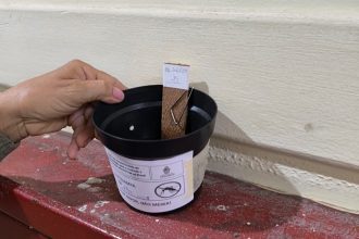 Prefeitura de Manaus utilizará nova estratégia para monitoramento e controle do Aedes aegypti em 2026