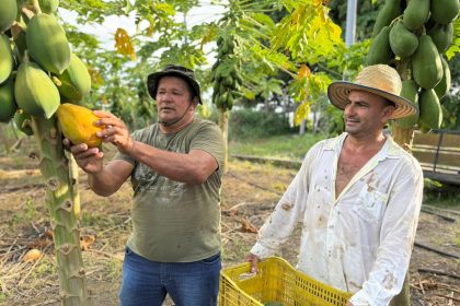 Prefeitura e Ufam firmam acordo para capacitação de agricultores familiares