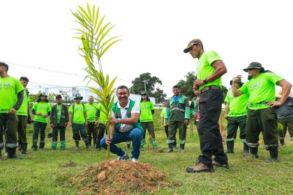 Prefeitura de Manaus alcança marca de 6 mil mudas plantadas