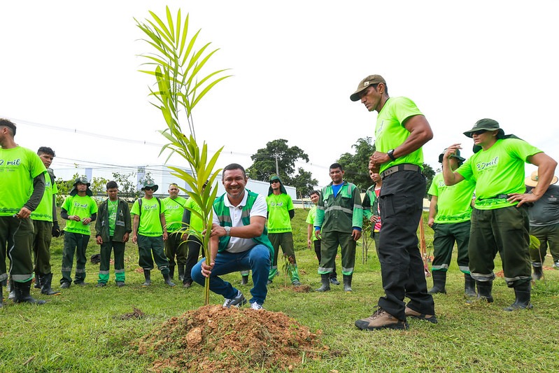 Prefeitura de Manaus alcança marca de 6 mil mudas plantadas