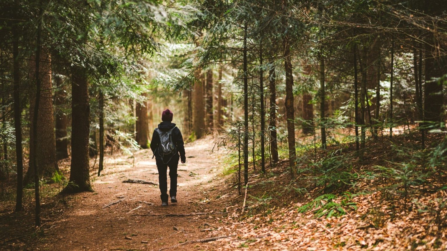 Mesmo no vale escuro: fé para enfrentar crises emocionais