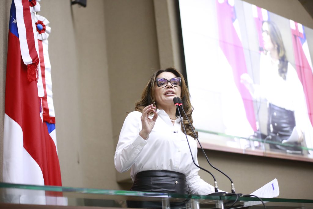 Deputadas estaduais comentam os 94 anos do voto feminino no Brasil