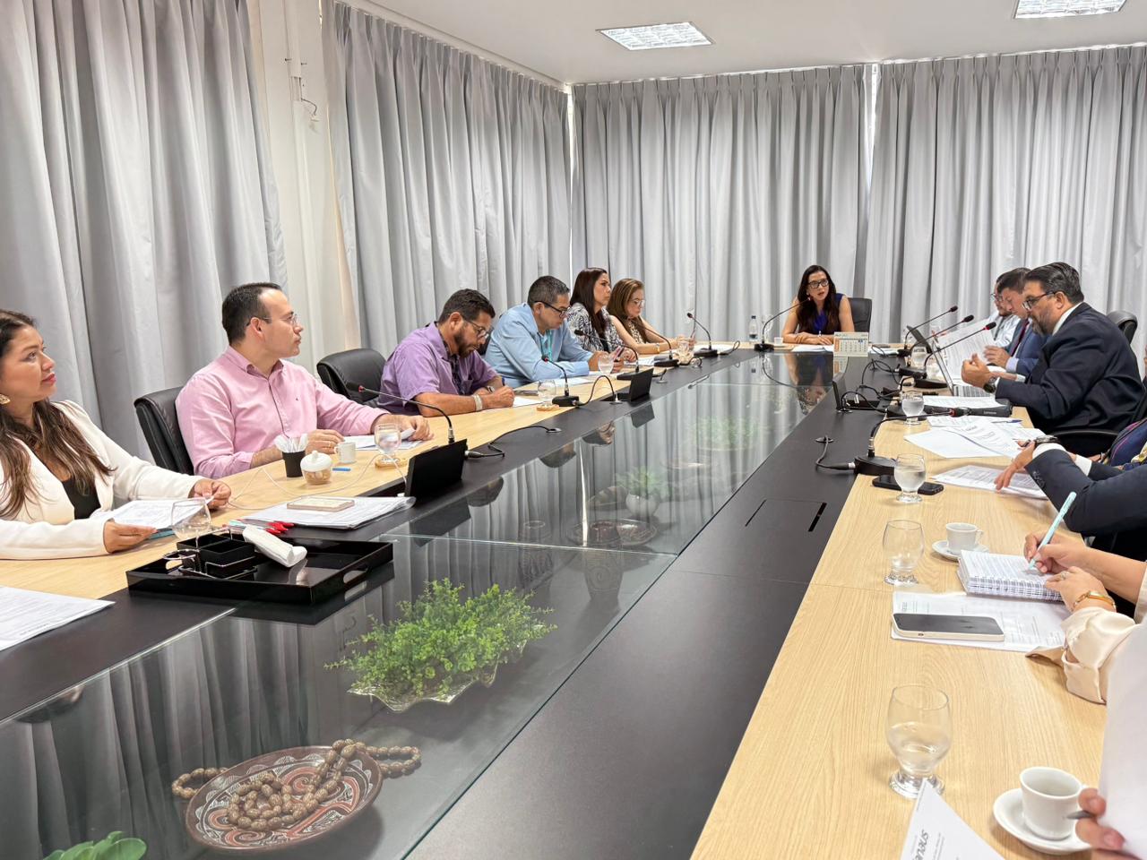 Procon Manaus realiza primeira reunião do Comdecon