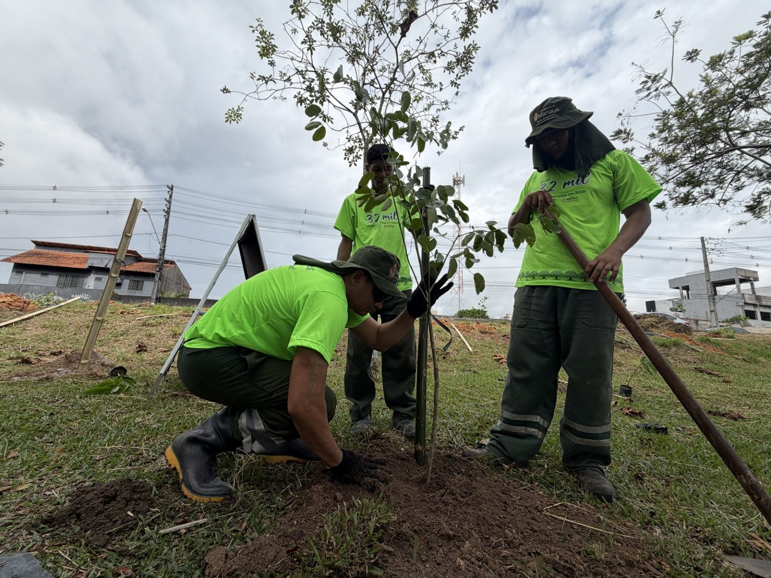 Prefeitura de Manaus realiza plantio de 13.400 mudas